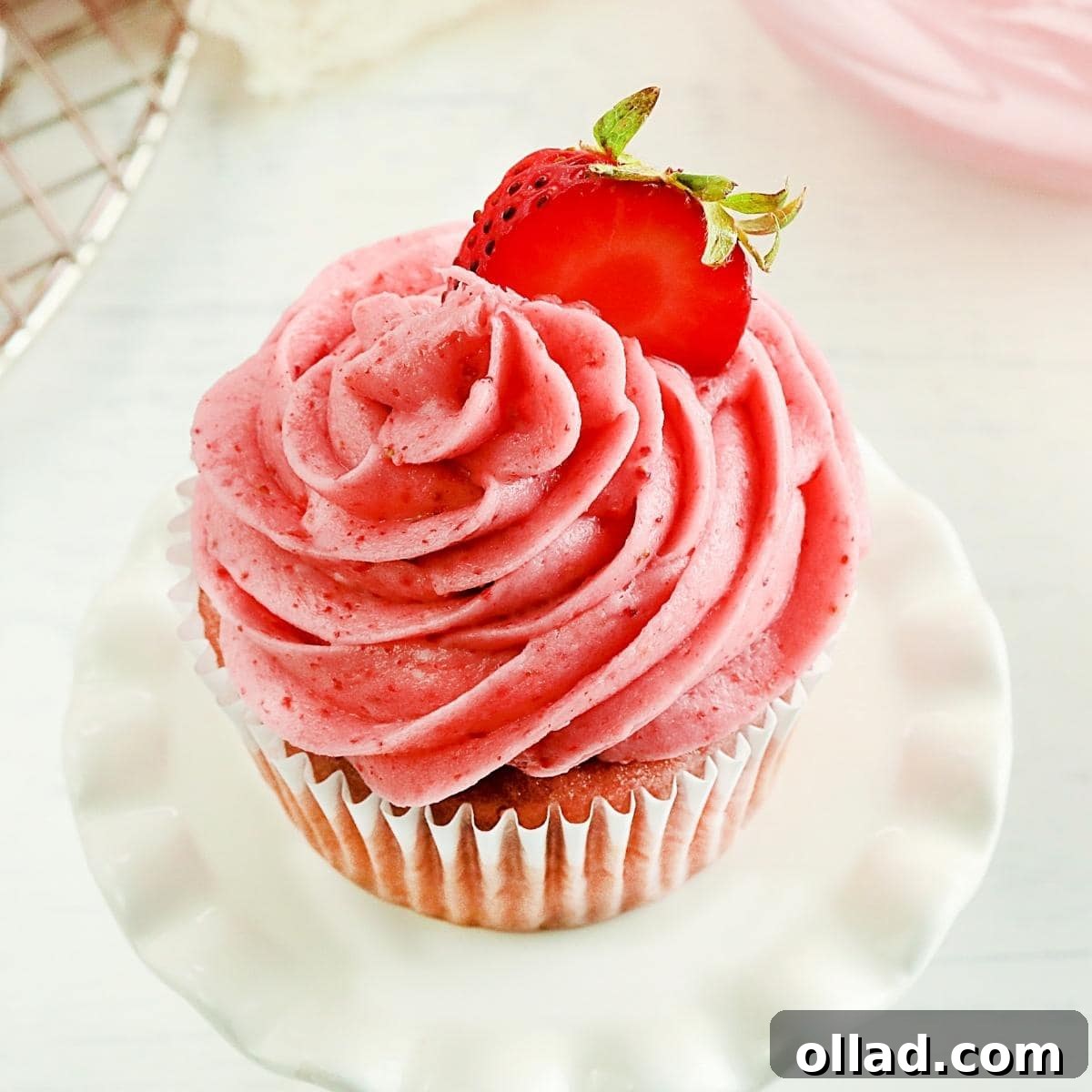 featured 13592