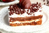 Guilt Free Chocolate Lasagna Bliss