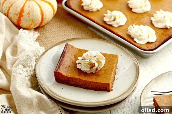 Feast-Worthy Gluten-Free Thanksgiving Desserts 5 two gluten-free pumpkin pie bars on plates with the bars and pumpkins in the backgorund