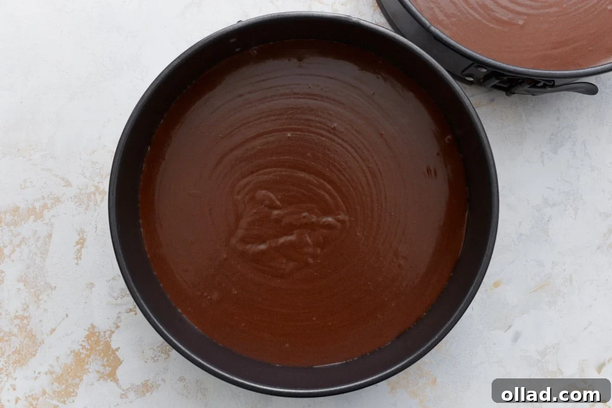 Decadent Gluten-Free Ice Cream Cake 11 Chocolate cake batter evenly spread into two prepared round pans before baking.