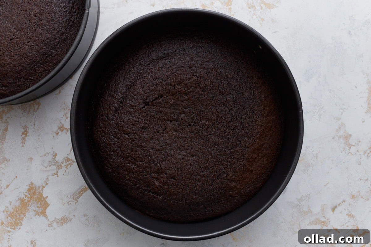 Decadent Gluten-Free Ice Cream Cake 12 Baked chocolate cake layer in the pan, fully set with slightly pulled edges and a cracked surface.
