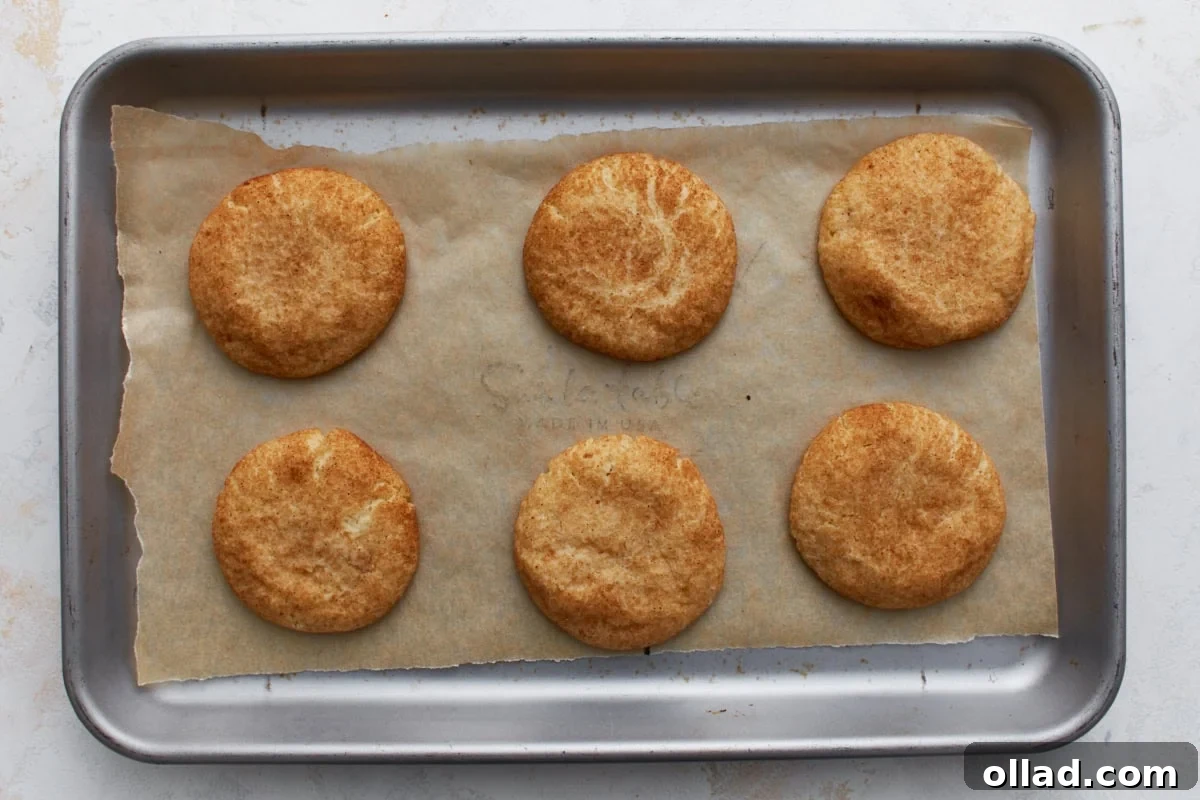 Chewy Gluten-Free Snickerdoodle Delights 12 Freshly baked gluten-free snickerdoodle cookies rest on parchment paper, exhibiting an even golden-brown hue and the characteristic soft, crackled tops that signify a perfectly baked snickerdoodle.