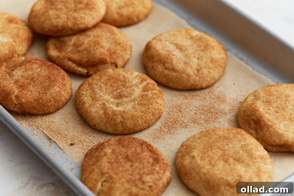 Chewy Gluten-Free Snickerdoodle Delights 13 Warm, inviting snickerdoodle cookies, freshly baked, are gently cooling on a parchment-lined baking pan, showcasing their delightful cinnamon sugar coating and soft, tender centers.