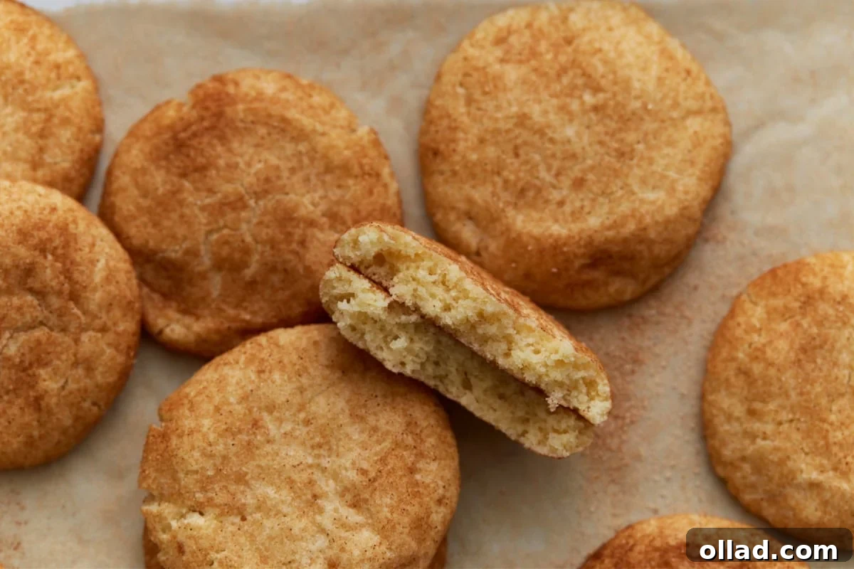 Chewy Gluten-Free Snickerdoodle Delights 14 A pristine display of soft, gluten-free snickerdoodle cookies on parchment paper, with one cookie expertly broken in half to expose its tender, fluffy interior and the sweet, textured cinnamon sugar coating.
