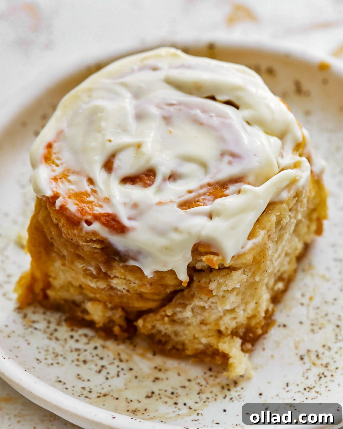 Irresistible Gluten-Free Cinnamon Rolls 2 up close gluten free cinnamon roll