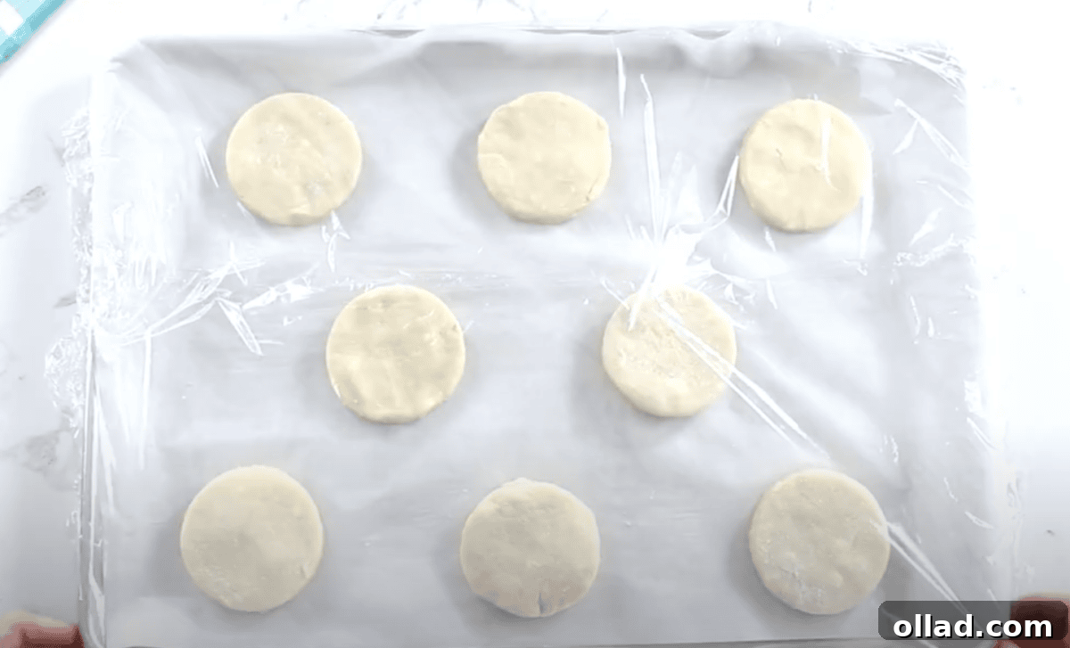 Nine evenly spaced dough rounds arranged on a parchment-lined baking sheet, covered with plastic wrap for proofing.