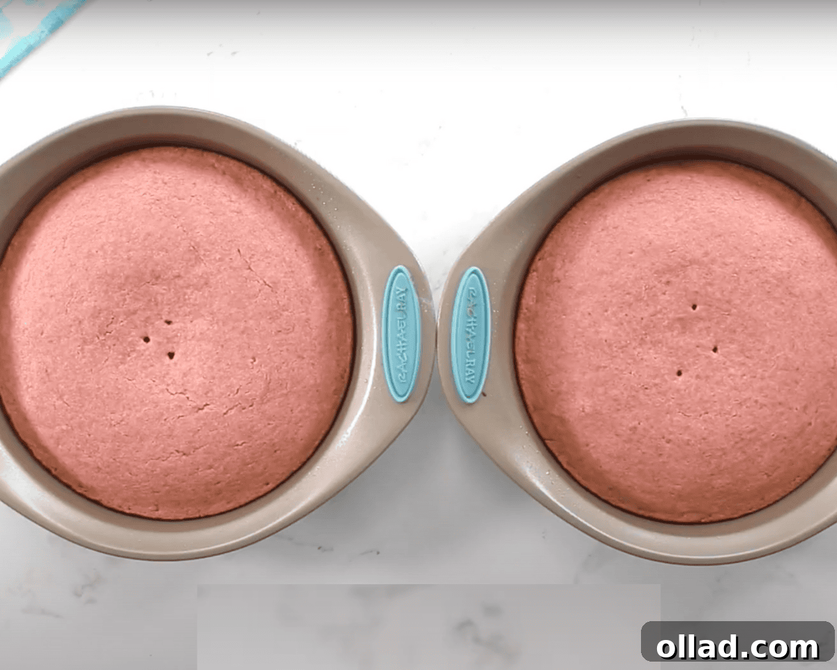 Two freshly baked gluten-free strawberry cakes in round pans with a golden-pink hue. The cakes have a few small air holes on the surface.