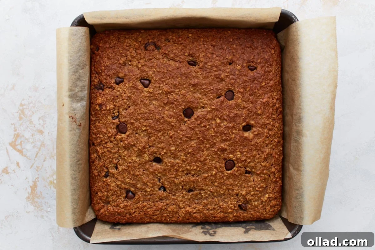 Fully baked oatmeal bar slab, golden brown and studded with melted chocolate chips, still in the parchment-lined pan.