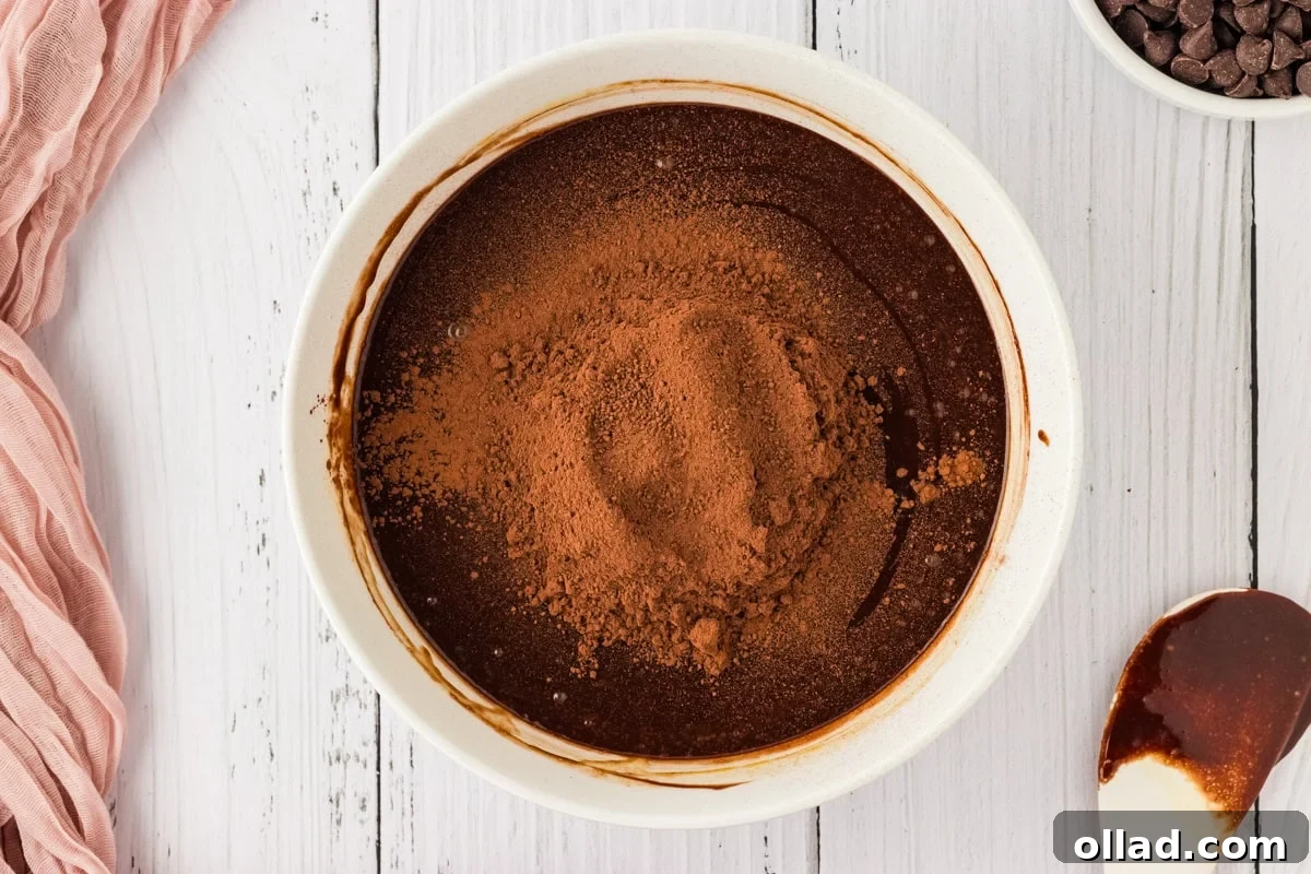 A smooth, dark chocolate mixture in a white bowl, with a pile of Dutch-processed cocoa powder resting on top, awaiting a final gentle mix.