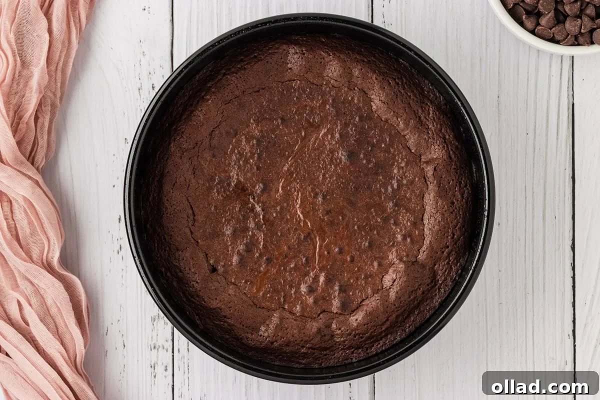 A freshly baked, dark flourless chocolate cake still warm in its 8-inch circular cake pan, having just been removed from the oven.