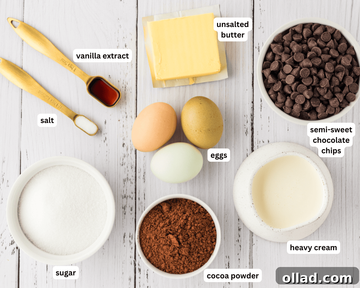A horizontal spread of fresh ingredients laid out for baking, including unsalted butter, semi-sweet chocolate chips, granulated sugar, eggs, vanilla extract, salt, and Dutch-processed cocoa powder.