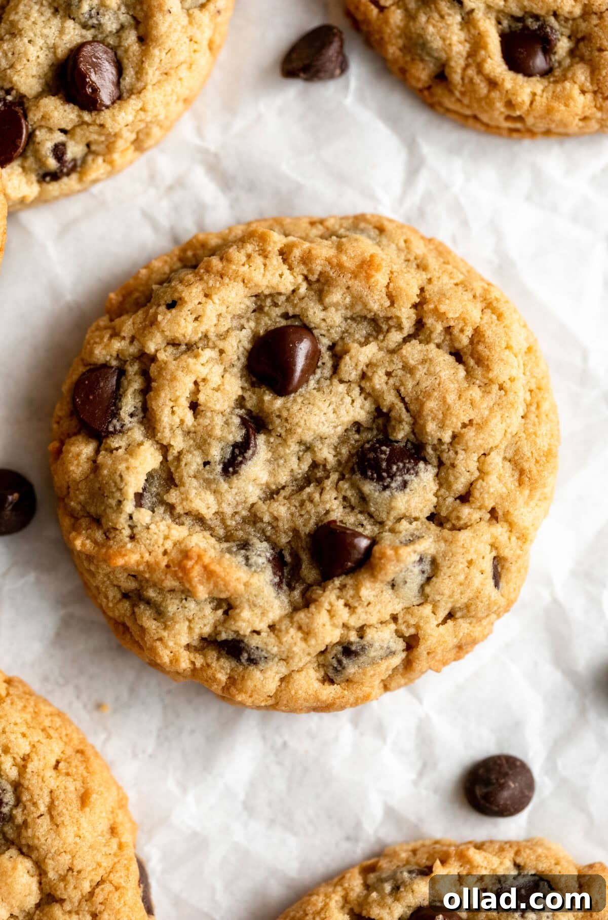 Close-up image of a perfectly baked almond flour chocolate chip cookie with melted chocolate chips.