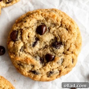 Delicious almond flour chocolate chip cookies on a white plate