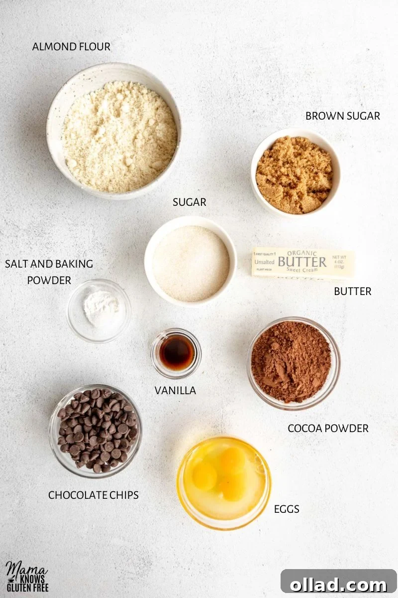Decadent Almond Flour Fudge Brownies 3 Ingredients used in Almond Flour Brownies