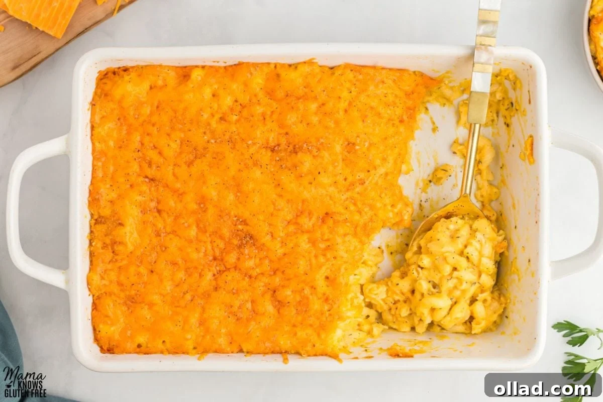 Velvety Gluten-Free Butternut Mac and Cheese 2 Gluten-Free Butternut Squash Mac and Cheese baked in white casserole pan scooped with large spoon