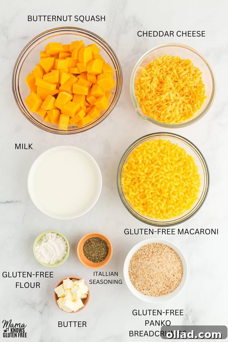 Velvety Gluten-Free Butternut Mac and Cheese 3 Ingredients for Gluten-Free Butternut Squash Mac and Cheese