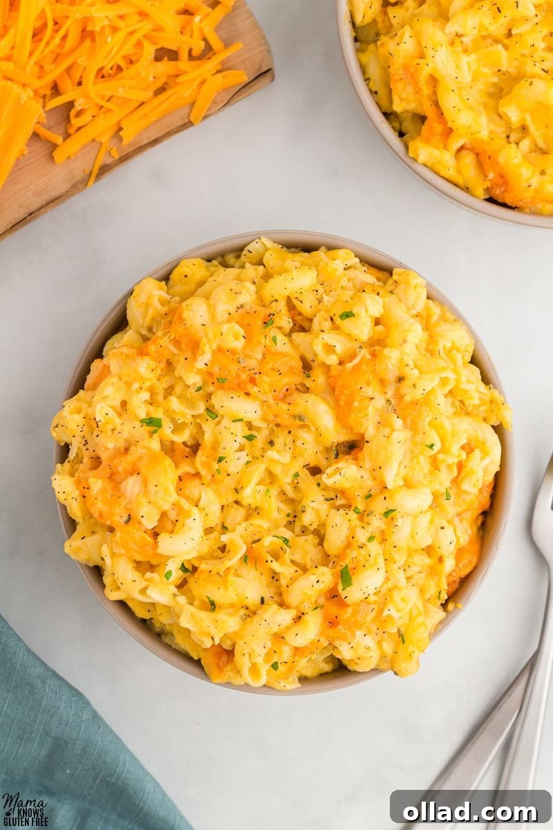 Velvety Gluten-Free Butternut Mac and Cheese 6 Gluten-Free Butternut Squash Mac and Cheese in a bowl shot from overhead