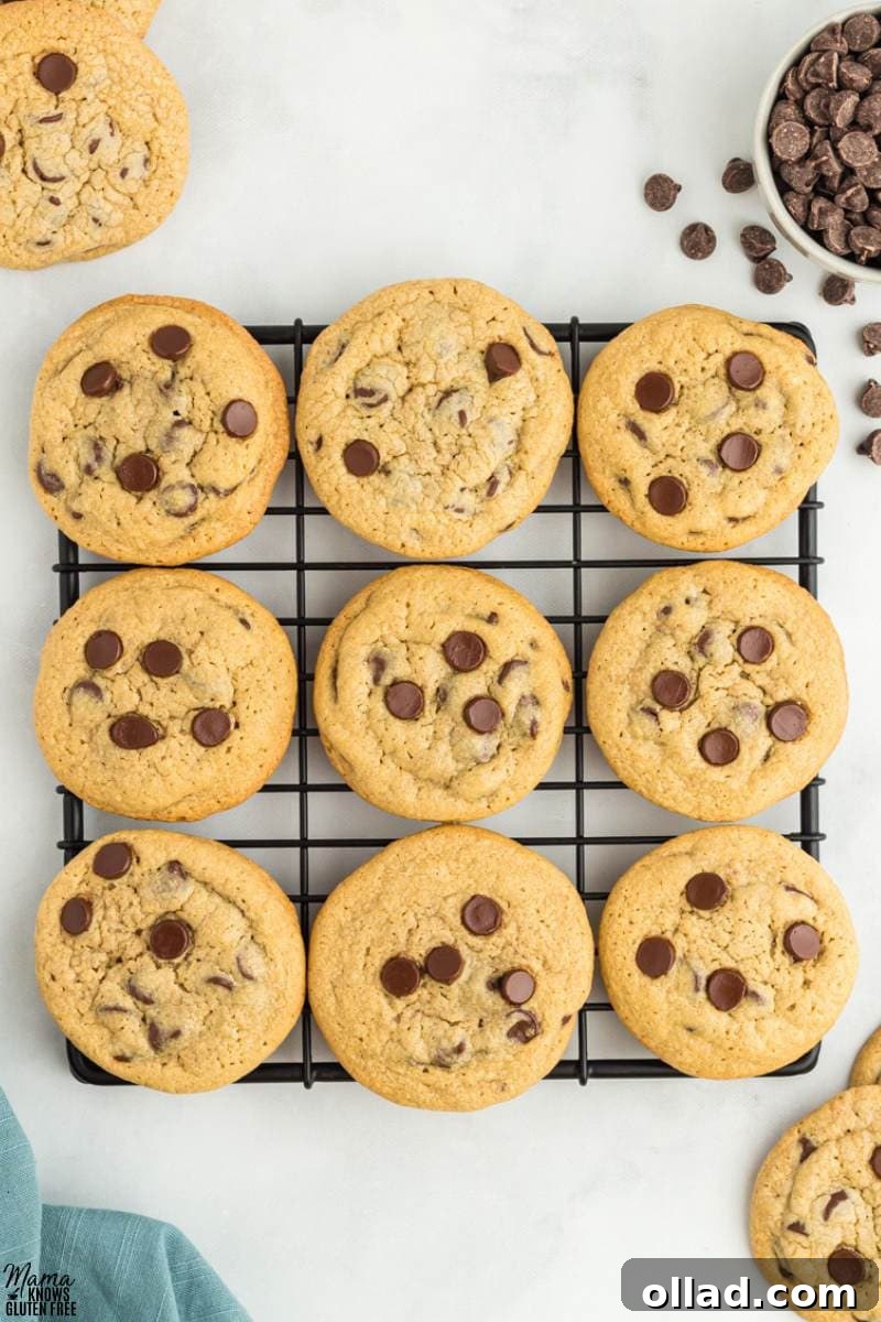 Freshly baked Oat Flour Chocolate Chip Cookies cooling on a wire rack, showcasing their golden-brown edges and soft centers.