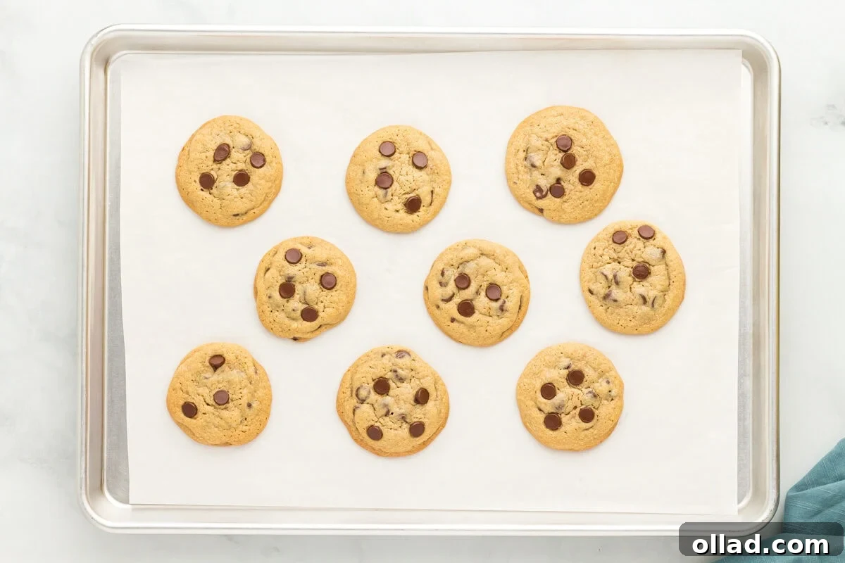 Freshly baked oat flour chocolate chip cookies on a baking sheet, with golden-brown edges.