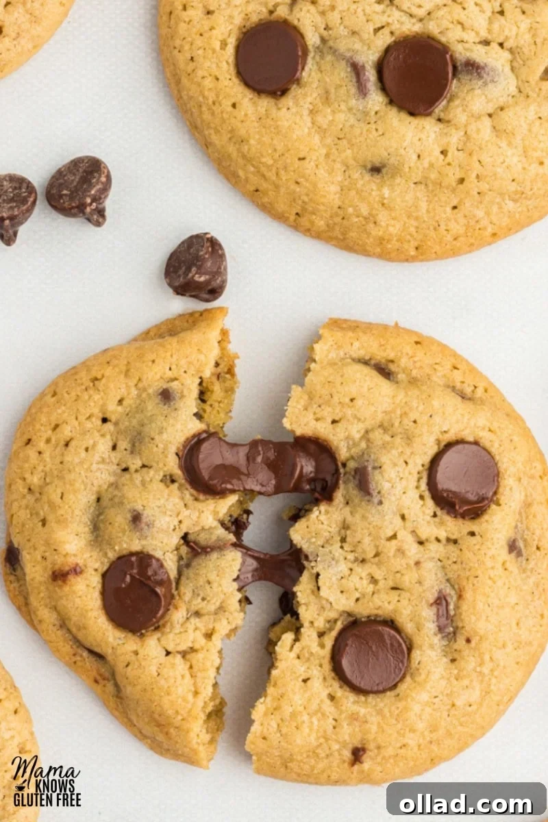 Oat flour chocolate chip cookie broken in half to show gooey chocolate.