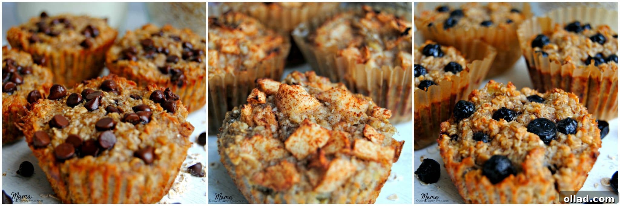 Gluten-free baked oatmeal cups featuring chocolate chip, apple cinnamon, and blueberry flavors