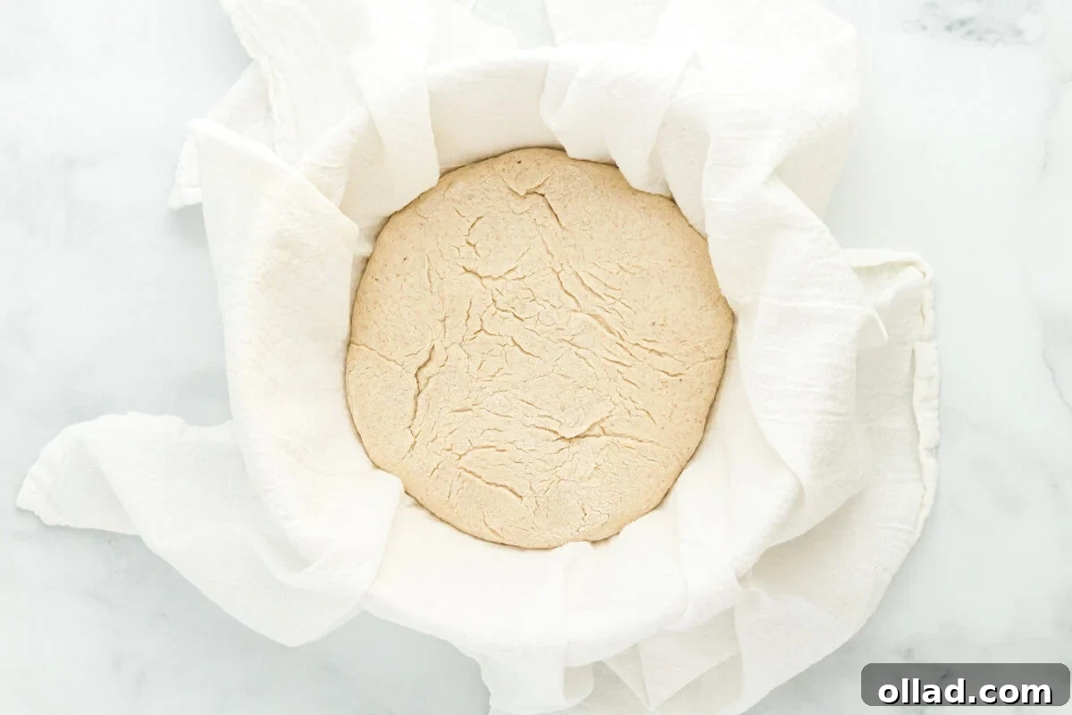 Risen gluten-free sourdough bread dough in a tea towel-lined bowl, showing a puffy texture and increased volume after proofing.