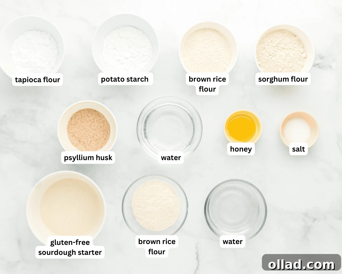 A flat lay of all the dry and wet gluten-free sourdough ingredients laid out on a clean surface, ready for mixing.