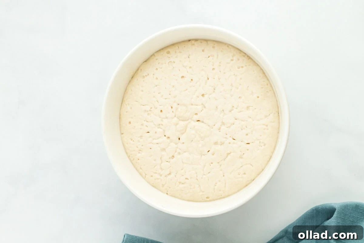 The preferment for gluten-free sourdough bread, a bubbly mixture, resting in a white bowl, indicating active fermentation.
