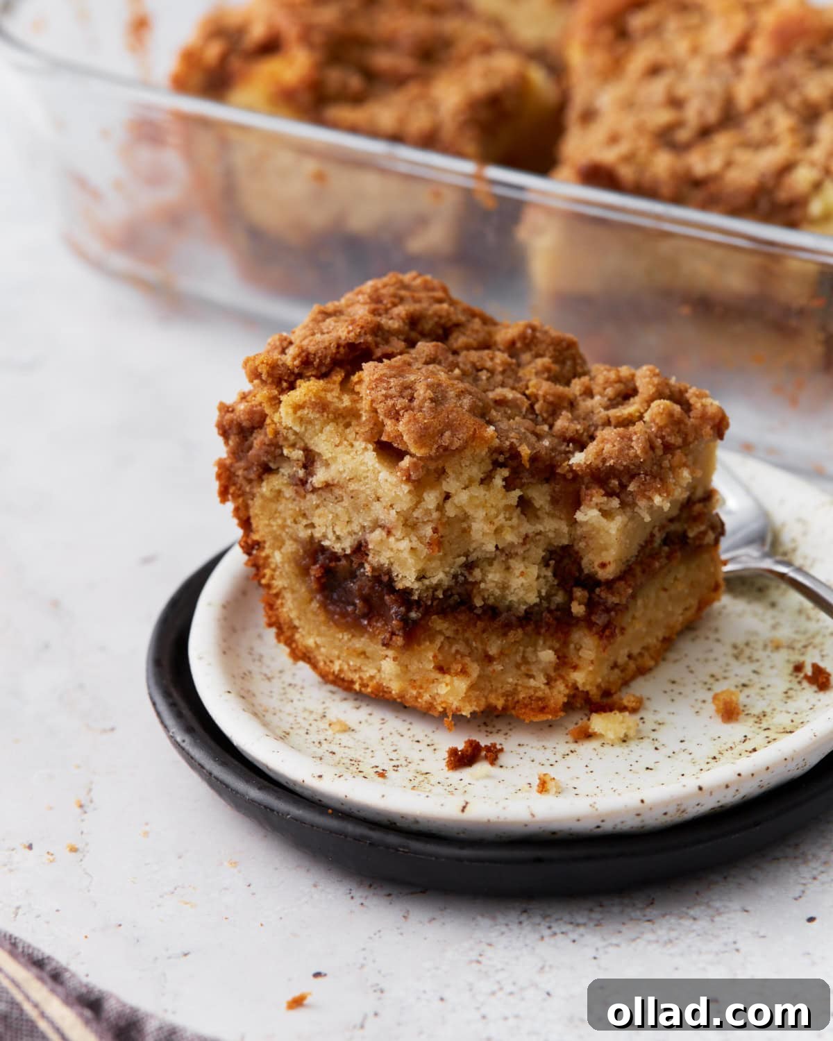 Irresistible Gluten-Free Cake Secrets 14 A close-up of a single slice of gluten-free cinnamon coffee cake on a white plate with a black rim, showing a rich cinnamon swirl and crumbly streusel topping. A glass baking dish with more cake is visible in the background.