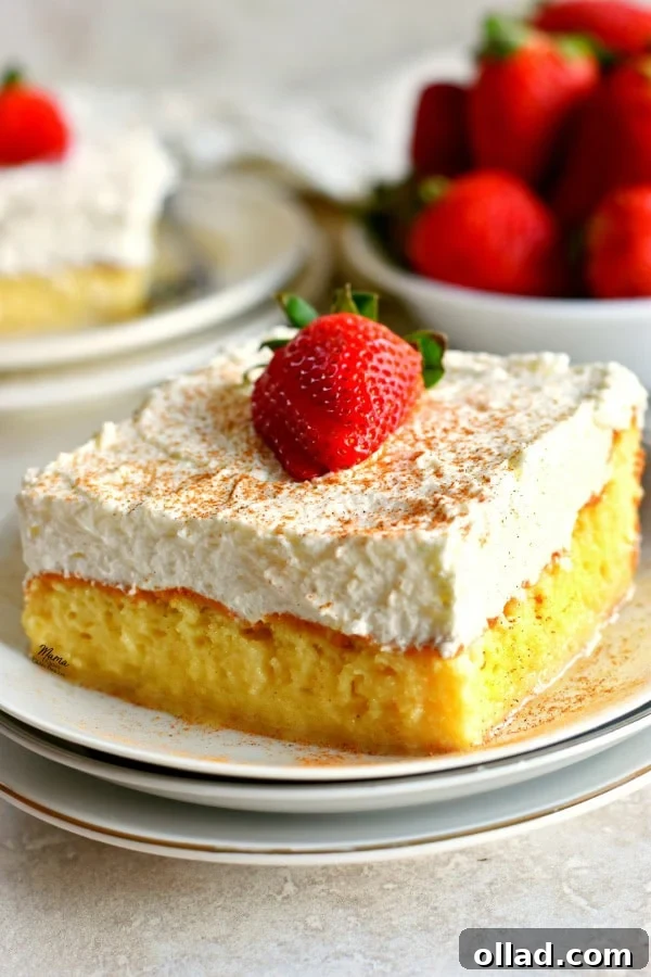 Irresistible Gluten-Free Cake Secrets 16 a piece of gluten-free tres leche cake on a plate with more cake and strawberries in the background