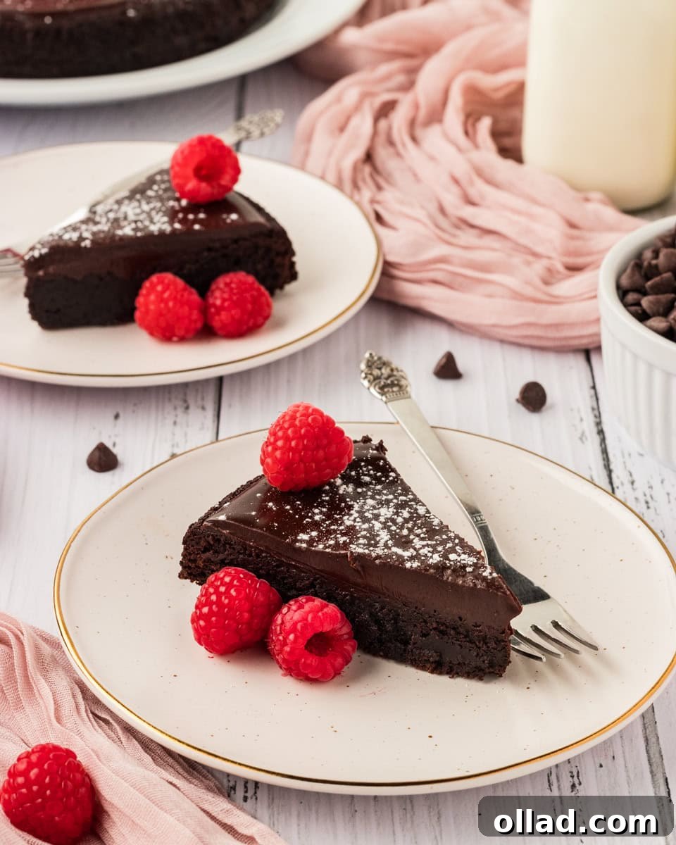 Irresistible Gluten-Free Cake Secrets 19 two slices of flourless chocolate cake on two white plates both sprinkled with powdered sugar and three raspberries