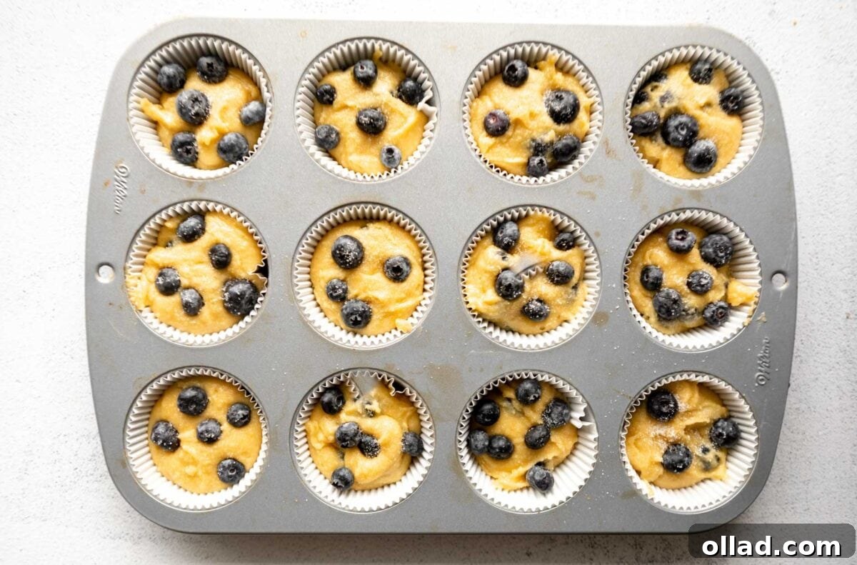 A muffin tin lined with paper liners filled with almond flour blueberry muffin batter, each topped with additional fresh blueberries, ready to bake.