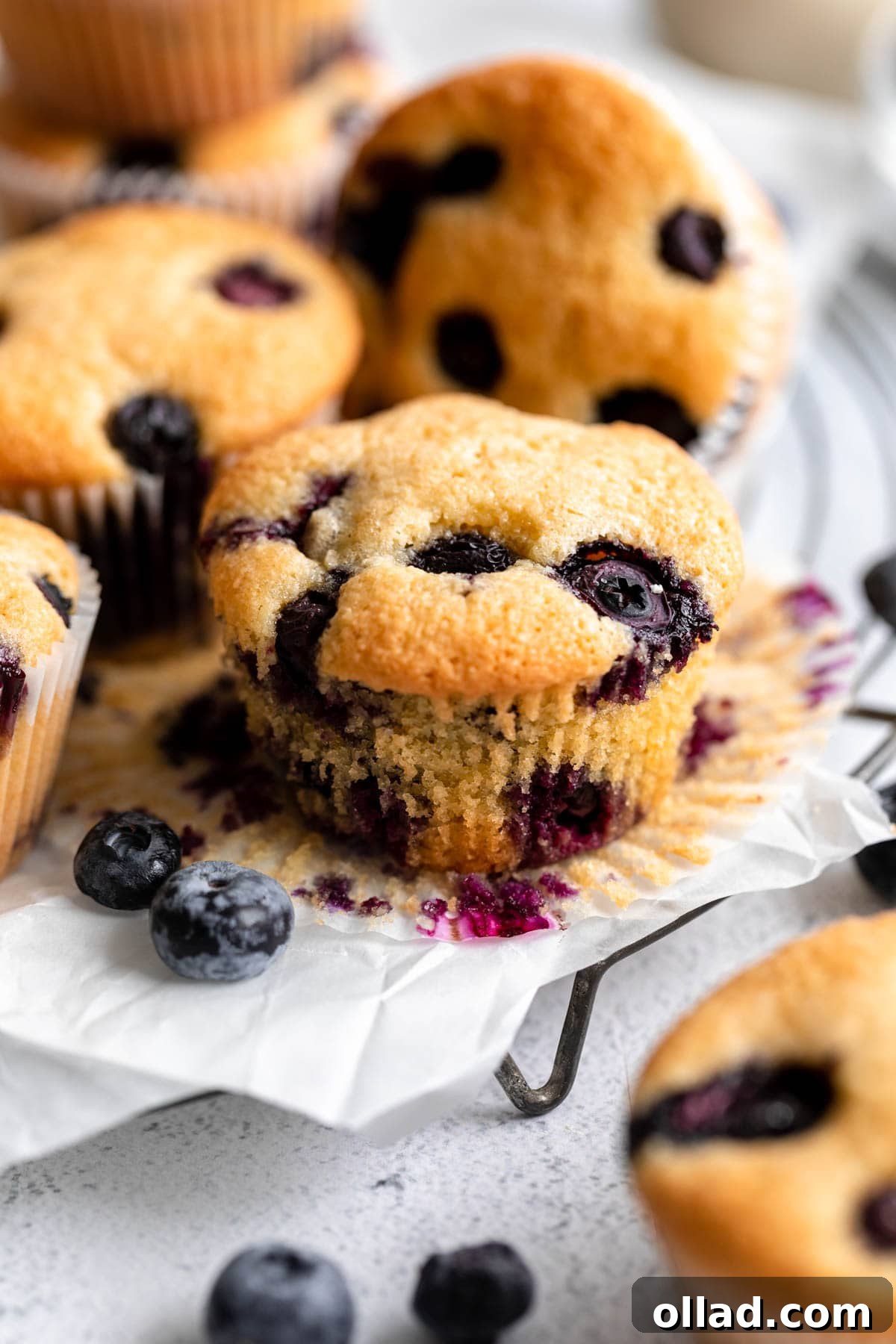 an unwrapped almond flour blueberry muffin on a plate.