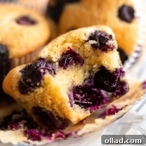 close-up view of a bitten almond flour blueberry muffin.