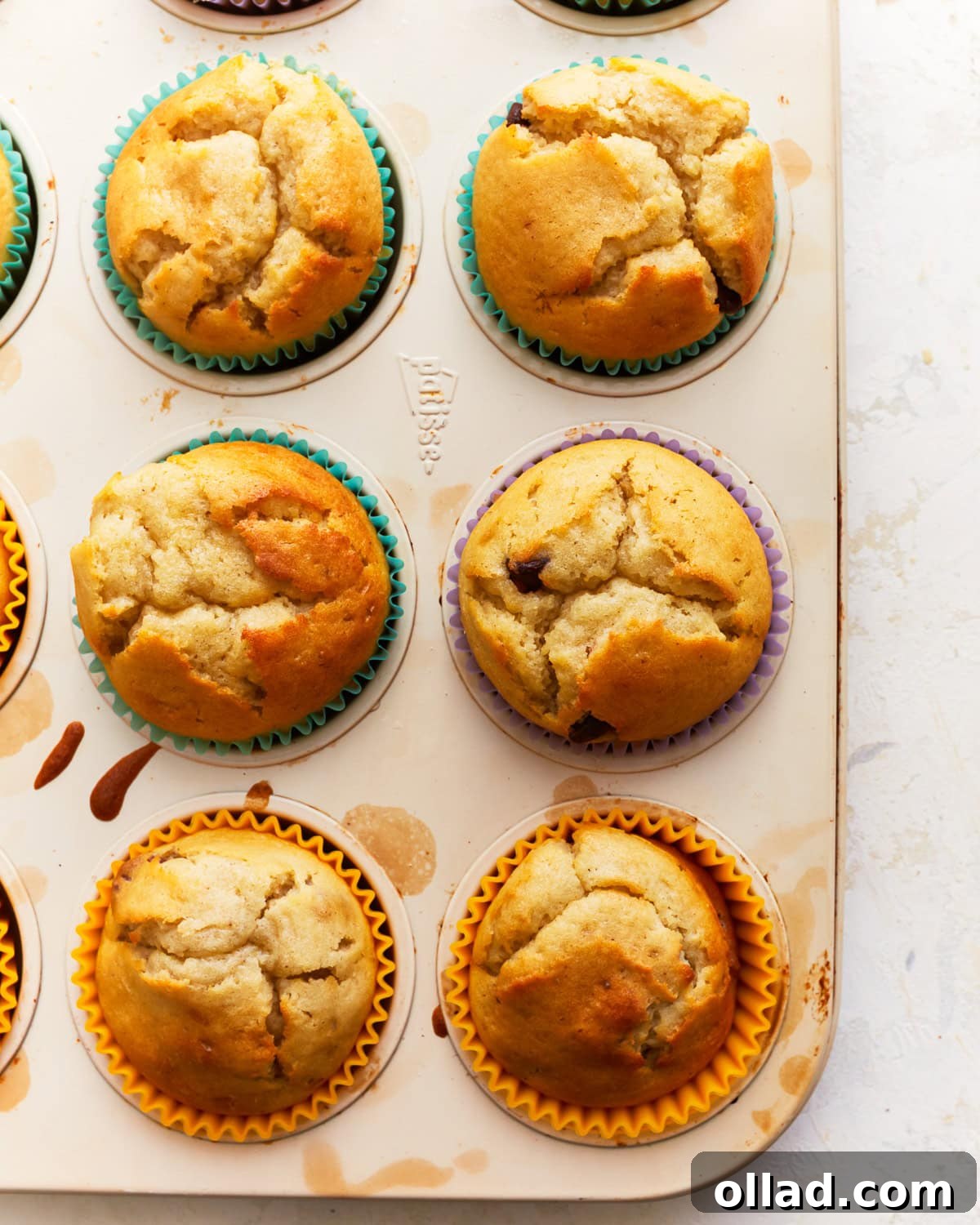 Irresistible Gluten-Free Muffins 2 Overhead view of perfectly baked golden-brown gluten-free muffins cooling in a muffin tin, showcasing their fluffy tops and inviting texture.