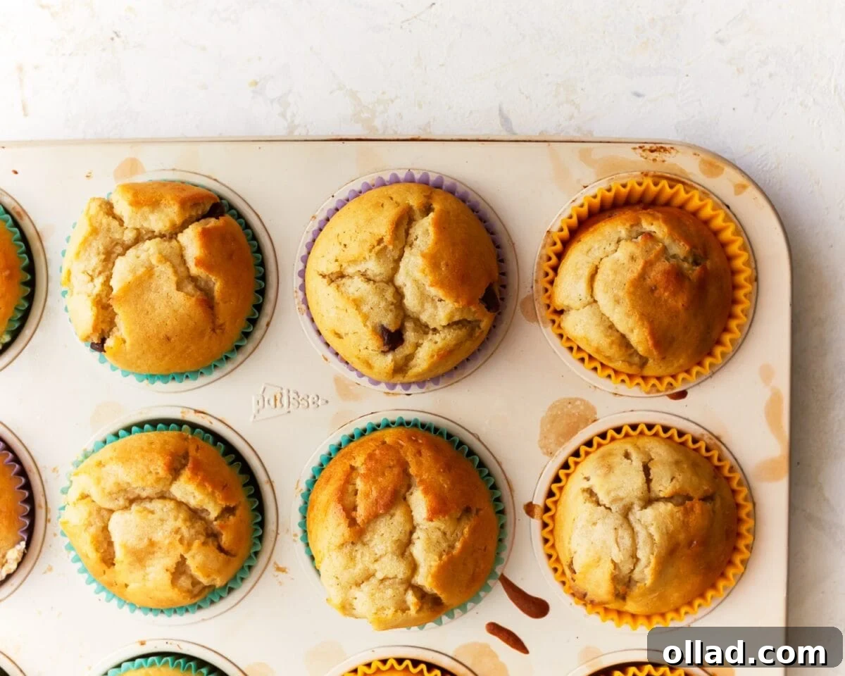 Irresistible Gluten-Free Muffins 7 A baking tray holds a dozen freshly baked golden-brown gluten-free muffins, perfectly risen with slightly cracked, domed tops, nestled in their vibrant paper liners.