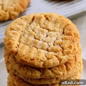 Gluten-Free Peanut Butter Cookies featuring their classic crosshatch pattern, showcasing a soft, chewy texture and crisp edges.