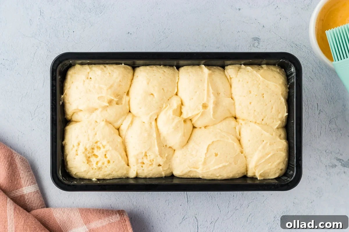 Fluffy Gluten-Free Brioche 14 Proofed gluten-free brioche dough in a loaf pan.