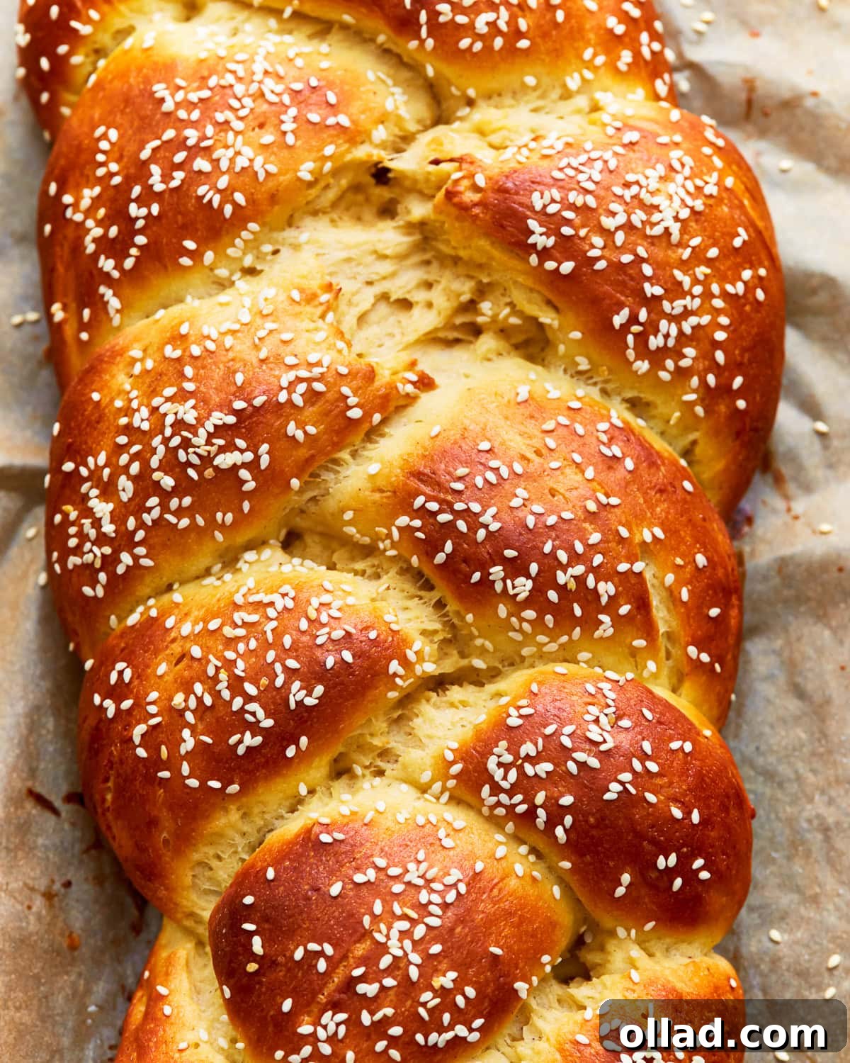 Overhead view of gluten-free challah bread topped with sesame seeds.