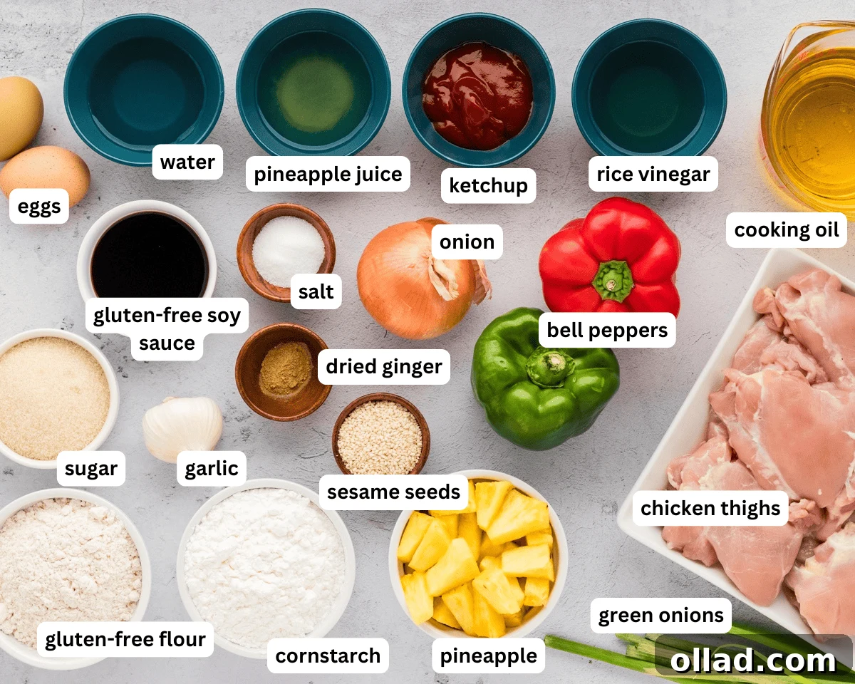 Irresistible Gluten-Free Sweet and Sour Chicken 3 img 26578 2