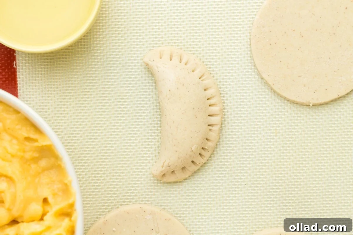 A perfectly filled and sealed pierogi, showcasing its crescent shape and crimped edges, ready for cooking.