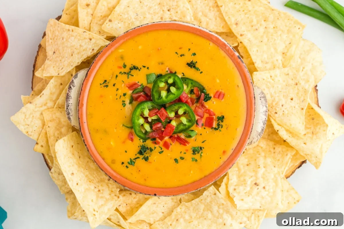 Vegan queso presented in an inviting terracotta bowl, garnished with sliced jalapeños, red peppers, and green onions, surrounded by crunchy tortilla chips.