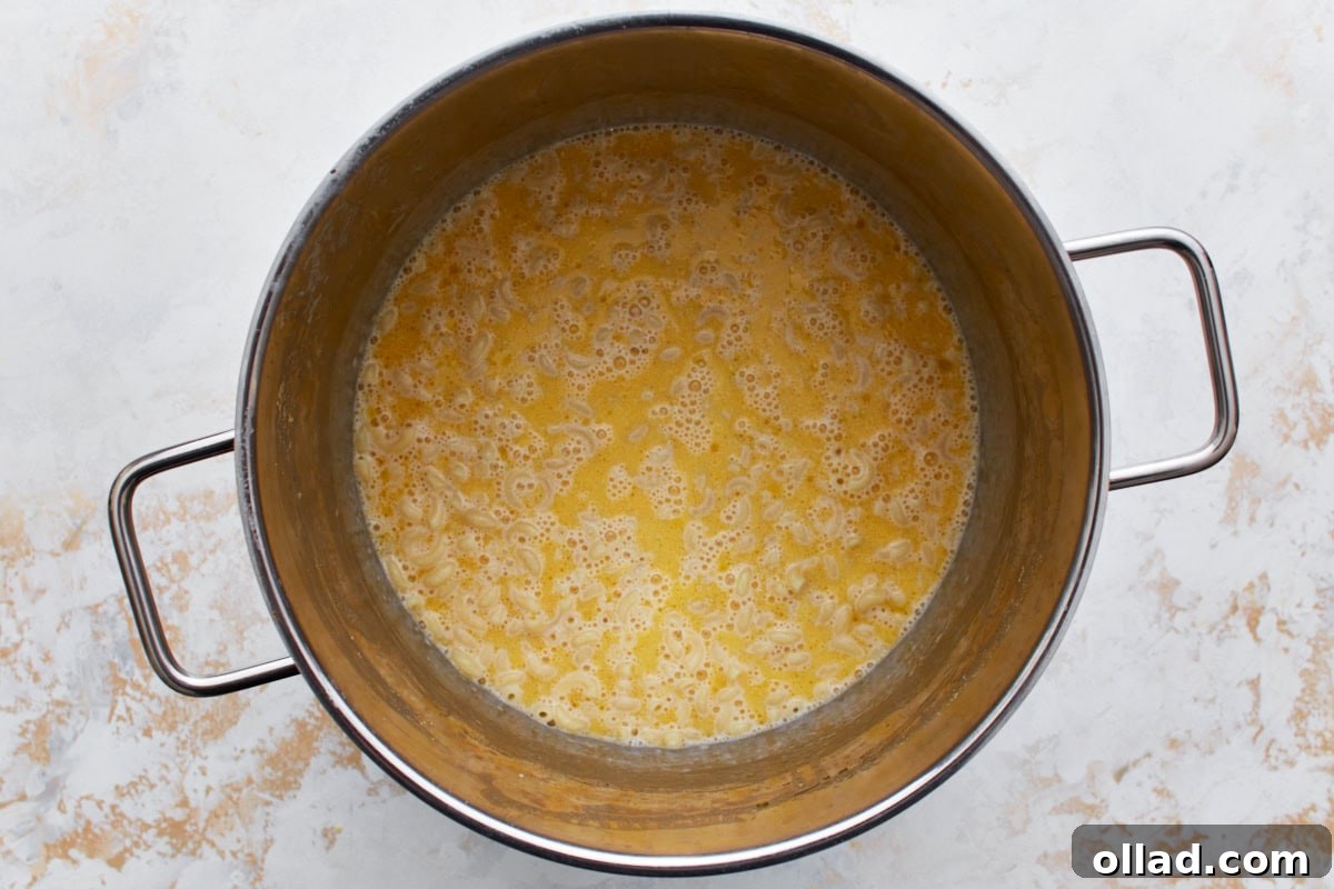 Gluten-free macaroni in a large pot and completely covered with the rich, melted cheese sauce.