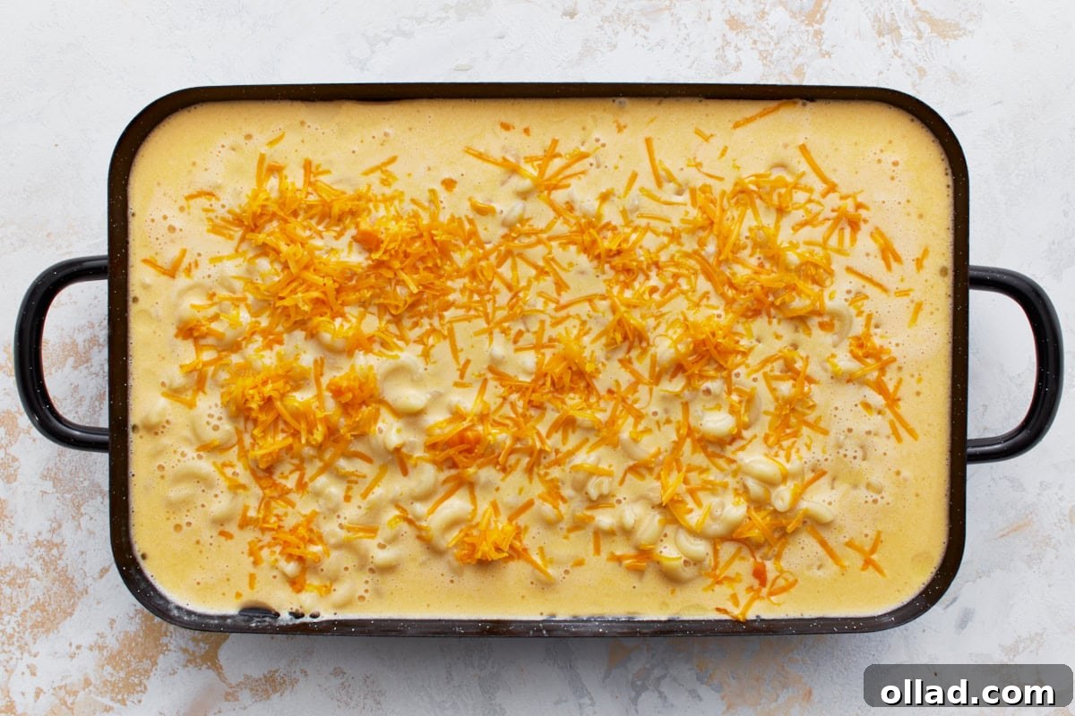Gluten-free macaroni and cheese in a black baking dish with a cheese sauce and topped with an additional layer of shredded orange cheddar cheese, ready for baking.