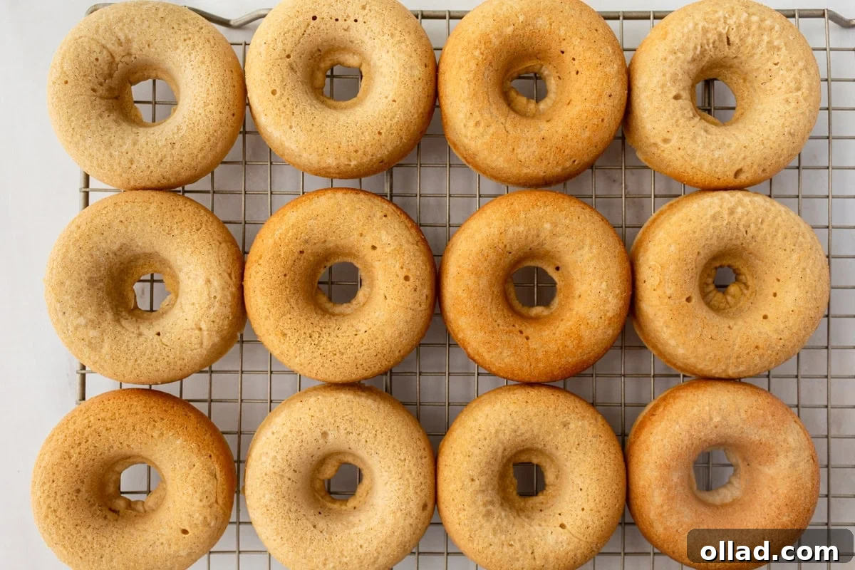 A dozen freshly baked gluten-free donuts resting on a wire rack before being coated, displaying a soft, golden-brown exterior.