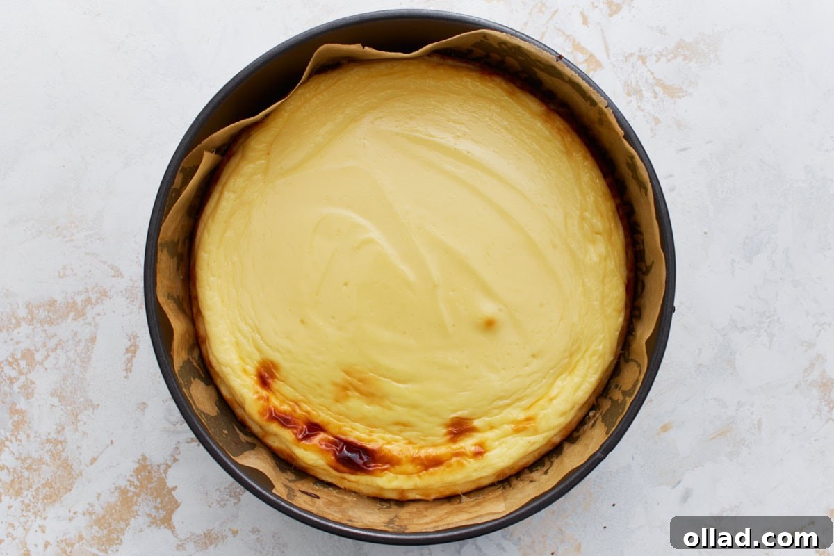 Freshly baked keto cheesecake in a springform pan with lightly golden edges and a smooth top.