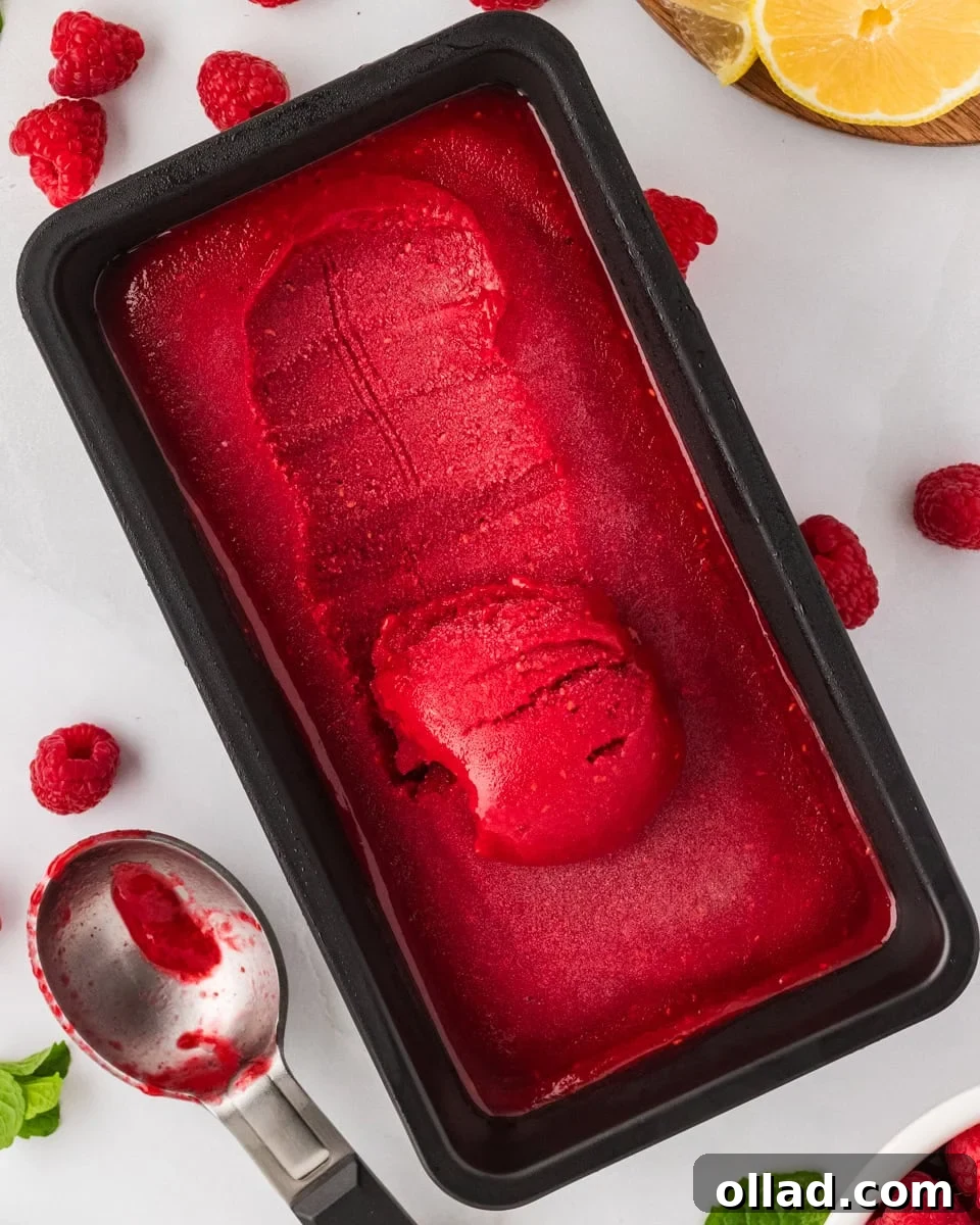 A black loaf pan filled with bright red raspberry sorbet, with one scoop removed and a metal ice cream scoop resting beside fresh raspberries and lemon slices, ready to be served.