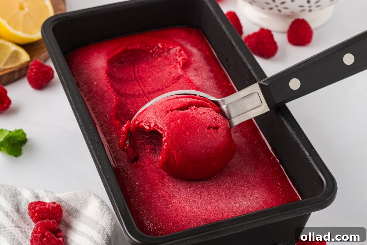 A metal ice cream scoop lifting a perfectly round scoop of bright red raspberry sorbet from a black container, highlighting its smooth texture.