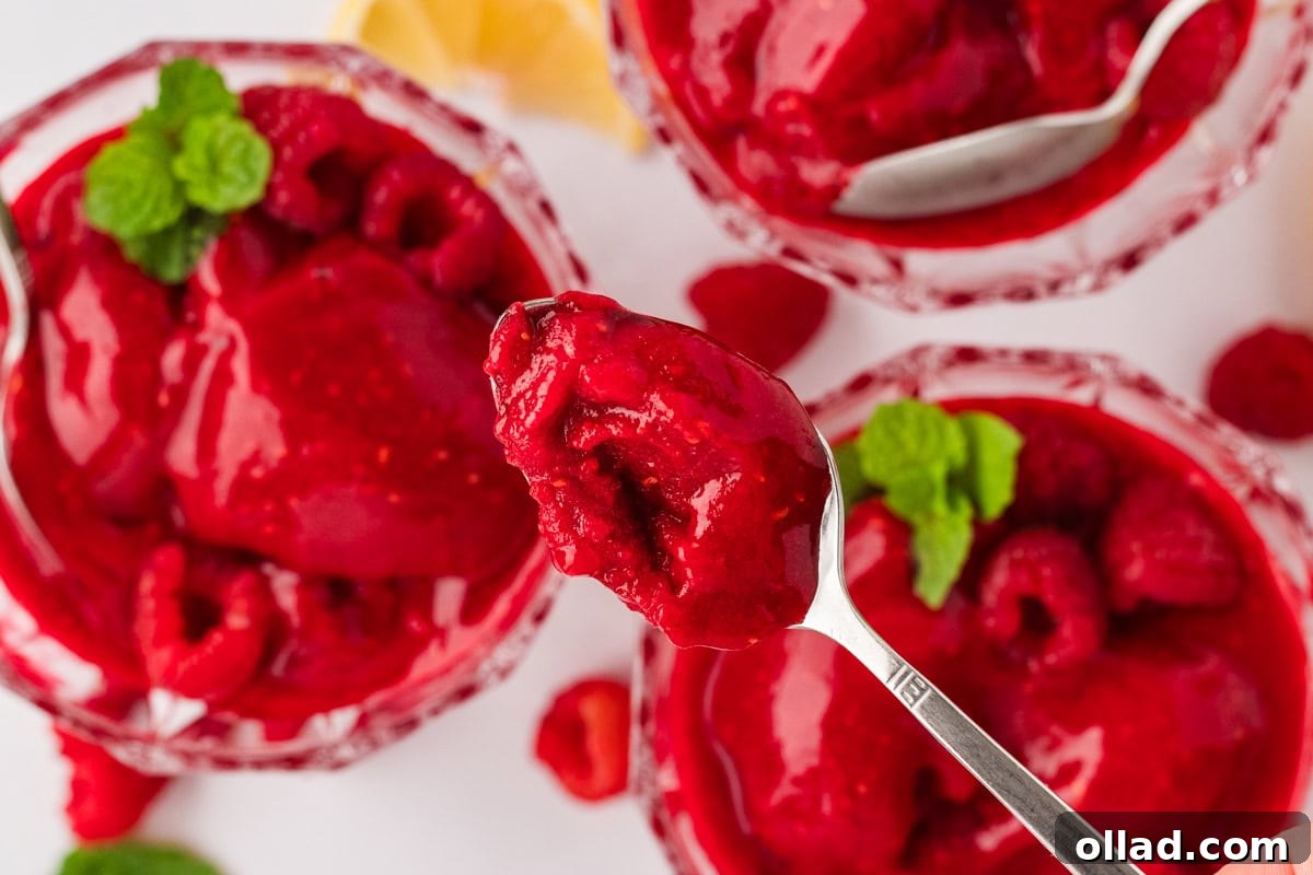 A spoonful of raspberry sorbet held above glass dessert bowls filled with sorbet, fresh raspberries, and garnished with mint leaves, showcasing its inviting presentation.