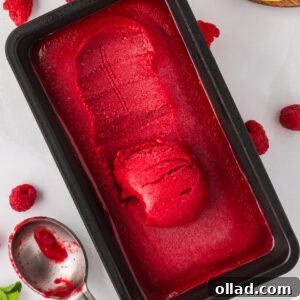 A black loaf pan filled with bright red raspberry sorbet, with one scoop removed and a metal ice cream scoop resting beside fresh raspberries and lemon slices.